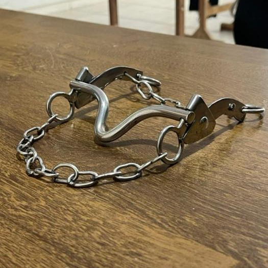 Freio Bridão Água Choca Aço Inox Reforçado Para Cavalo | Selaria
