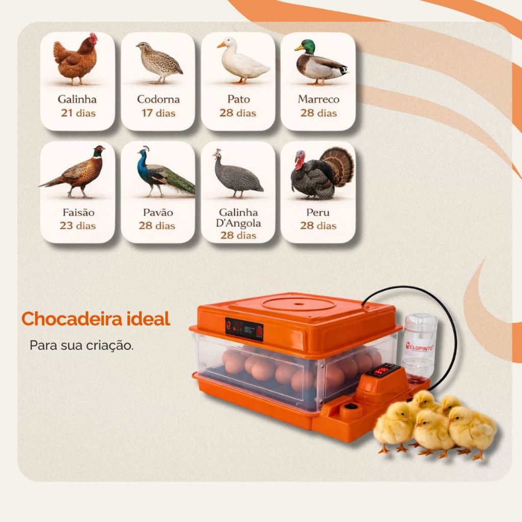 Chocadeira Profissional Eclopinto 35 Ovos Com Viragem Automática