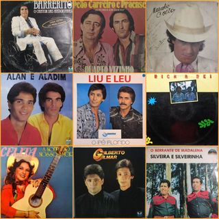 LP Vinil Sertanejo Raiz - Vários Títulos | Alan e Aladim, Barrerito, Peão Carreiro | Disco Sertanejo