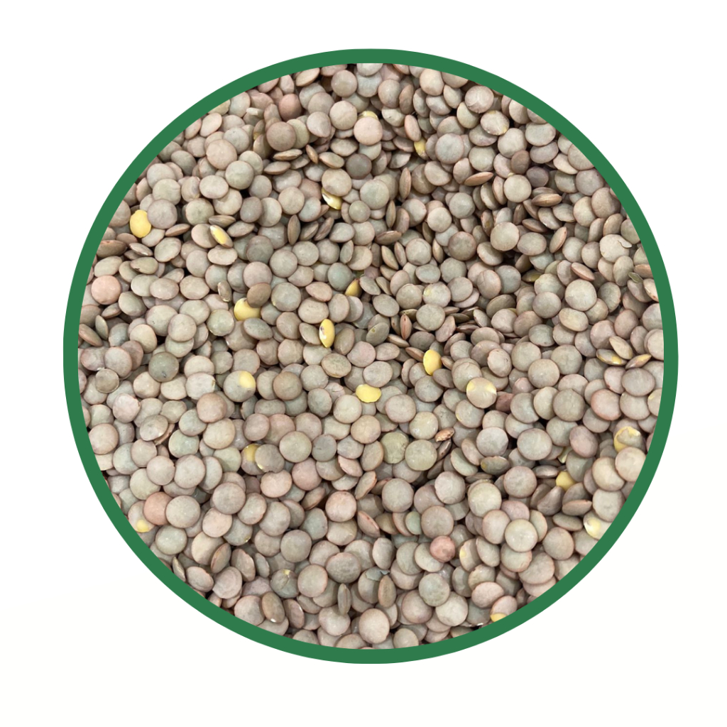 Lentilha 1Kg