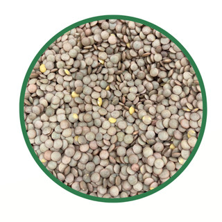 Lentilha 1Kg