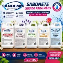 Sabonete Líquido 5 Litros Refil Galão Perfumado Banheiro lavabo cozinha Econômico Fragrâncias 5L