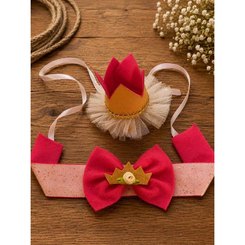 Gargantilha + coroa de princesa para cachorro e gato pet shop