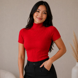 Blusa Cacharrel Gola Alta Camisa Manga Curta Canelada Roupa Feminina Elegante