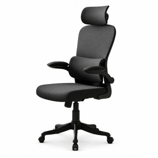 Cadeira De Escritório Ergonômica LuvinCo Genebra B500 G500 Executiva Suporte Lombar Tela Mesh 200kg