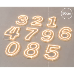 Número Led Neon 50cm, Painel Led Neon Números 0 a 9 Acrílico Cristal 50cm Altura