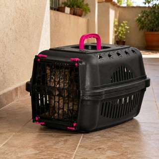 Caixa Transporte Grande Pequena Média Gato Cachorro Animais Pet Cães Bolsa Casa N1 N2 N3