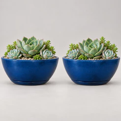 Kit 2 Vasos de Planta Decorativo Bacia Redonda N1 Luxo Polida Lisa com Prato Coletor