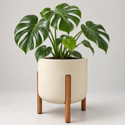 Vaso Polietileno Para Plantas com Pé de Madeira Vaso Nórdico com Suporte