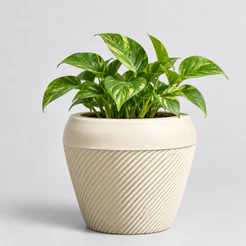 Vaso para Planta Polietileno Bojo Listrado Perfeito Jardim Casa Decoração Varanda
