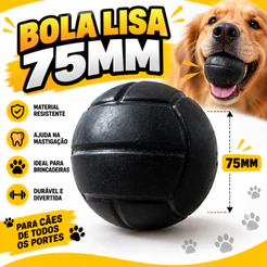 Brinquedo De Cachorro Reforçado Resistente Para Cães – Borracha com Vários Modelos