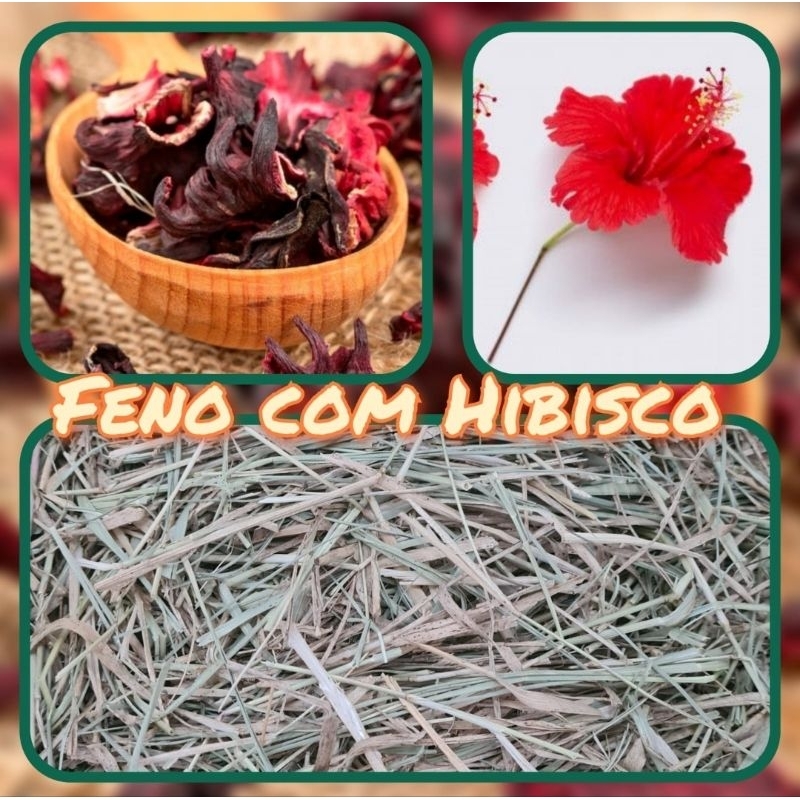 Feno com Hibisco 🌺 Tifton85 Tipo A Super Premium 500g