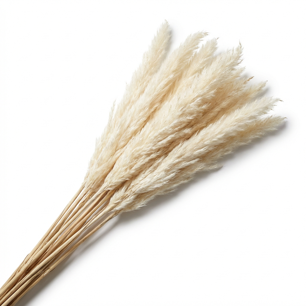Arranjo De Mesa Capim Pampas Desidratado 7 Unidades Coloridas Palha Natural Ornamentação Interior Escritório Prateleira