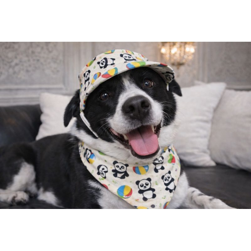 Kit Bandana Pet + Boné Pet Panda PP ao GG | Bandana com Elástico | Acessório Pet 100% Tricoline Confortável