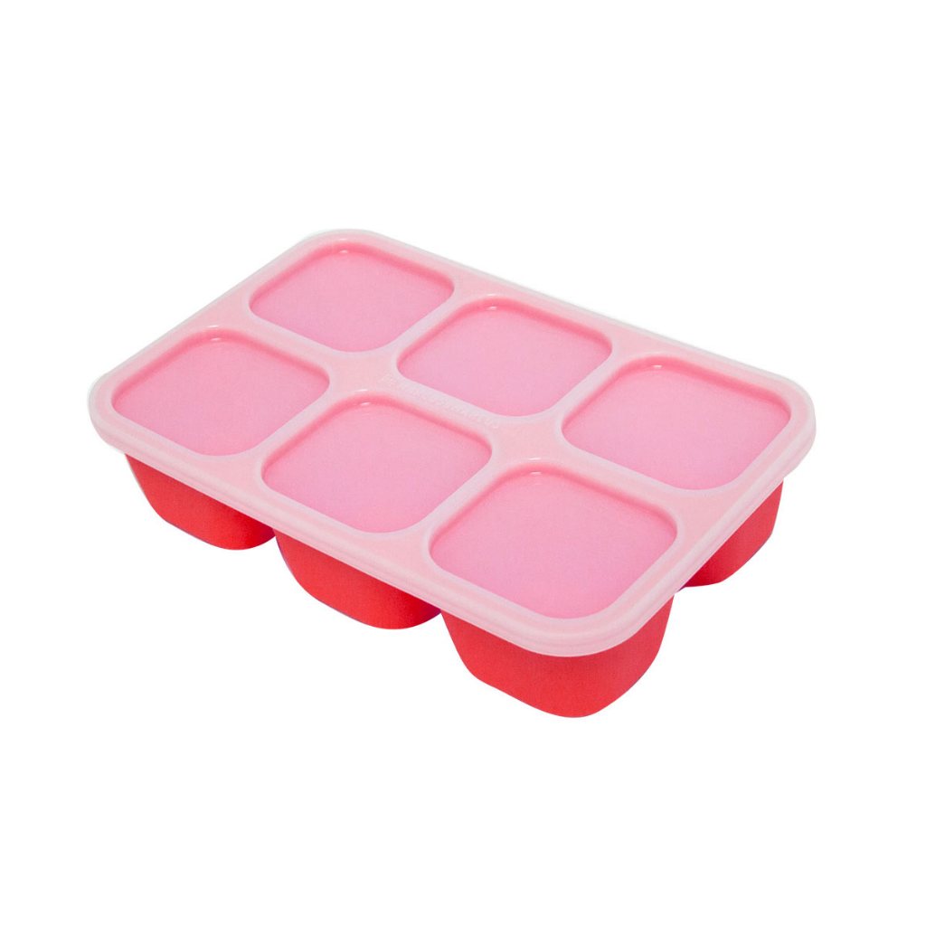 FORMA PARA CONGELAR ALIMENTO 6 CUBOS 60 ML LEÃO MARCUS