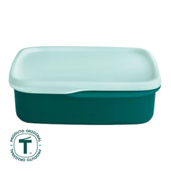 Pote Hermético Tupperware Basic Line com Divisória 550ml