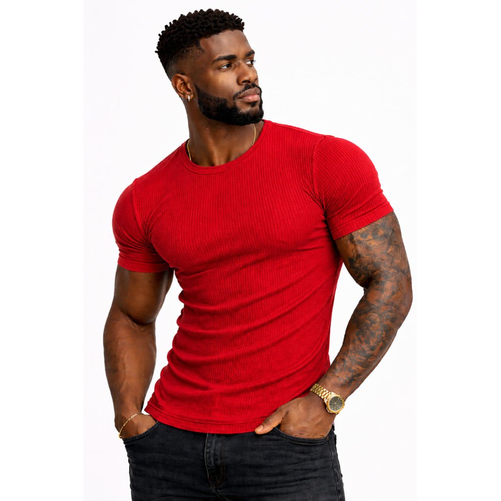 Camiseta Masculina  LUNA  Ribana Canelado com Elastano  Blusa estilo Americano Justa