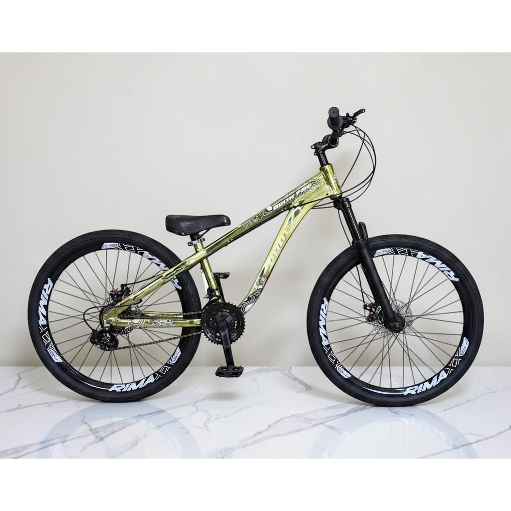 Bicicleta Aro 26 PRO-X Rustic PRO Verde Freeride 21v Aro Vmaxx Freio a Disco Pneu Flame