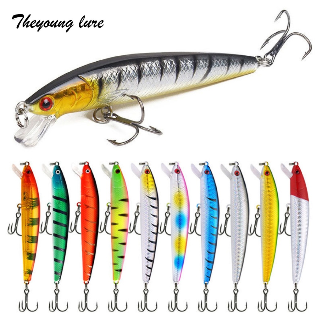 10cm/9g Minnow Lure for Sharp-snouted Fish, Floating Plastic Hard Bait with Rattle Beads