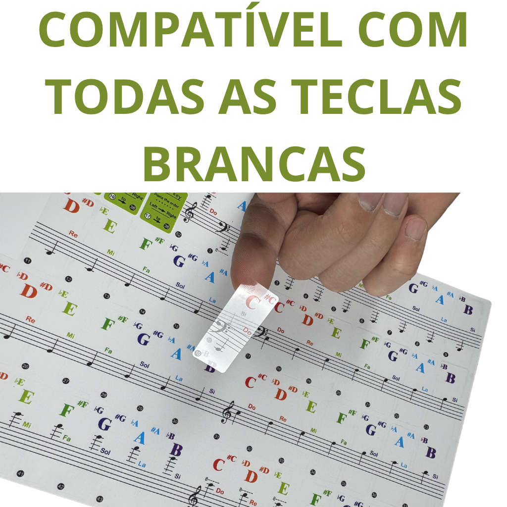 Adesivo Para Teclado Notas Musical Com Notas Para Iniciantes — imagem 2 de 2