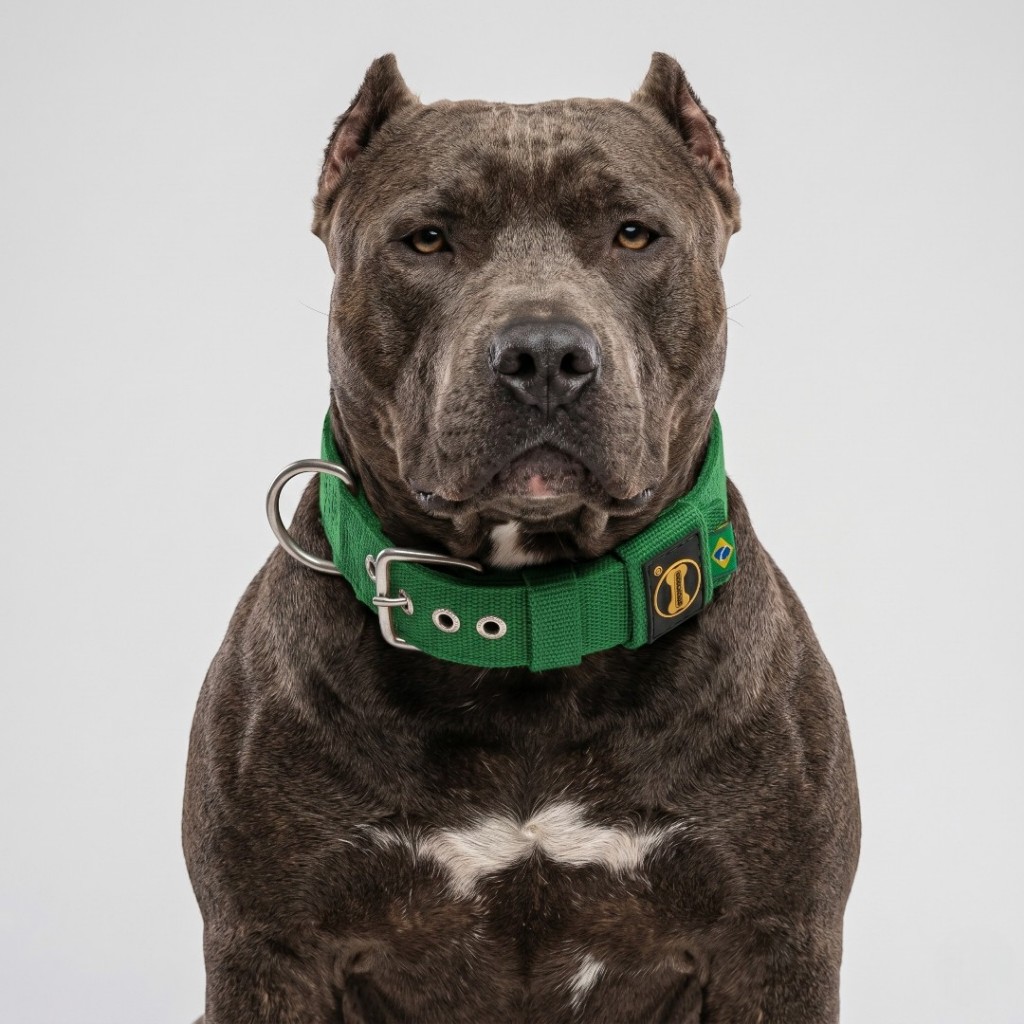 Coleira Pit Monster Verde American Bully Bull Terrier Labrador Pastor Belga Cachorro Alabai Fila Cão