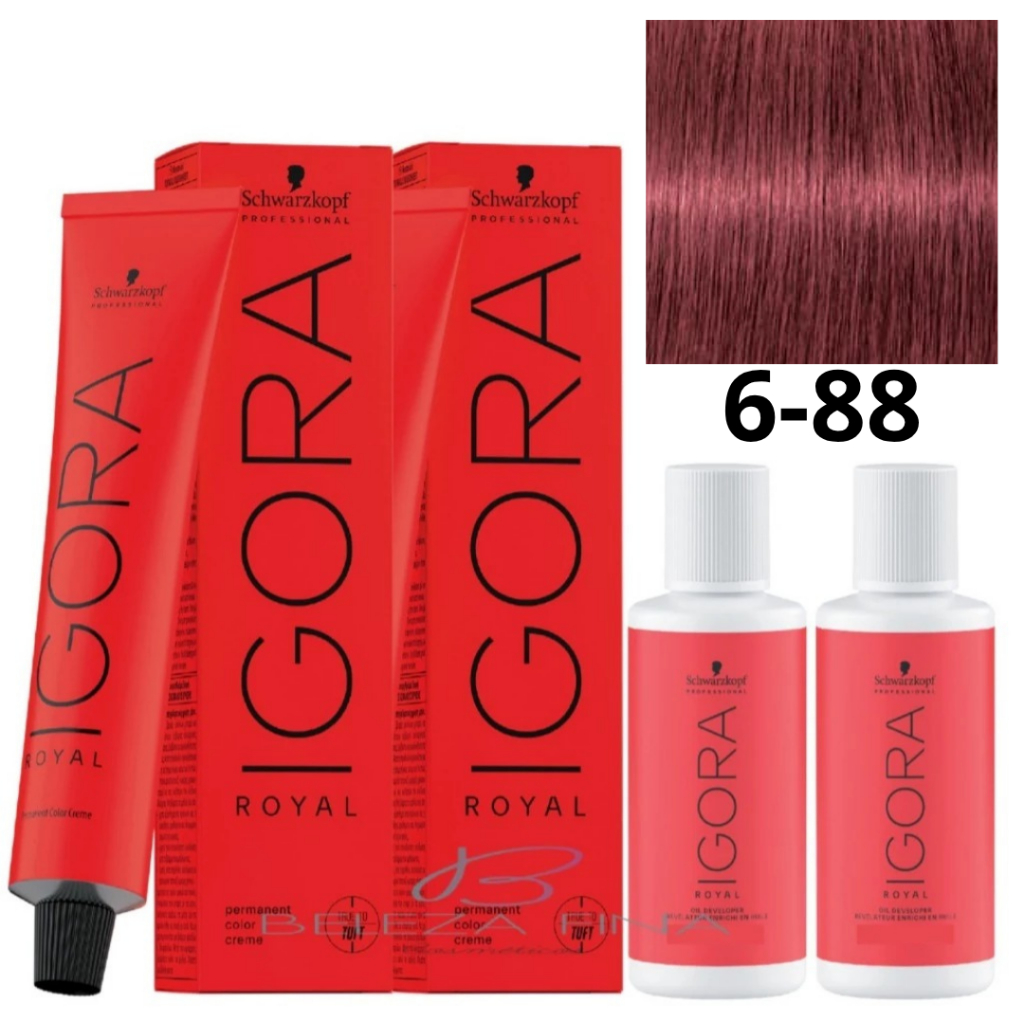 2 Ox 30 volumes 60 ml  + 2 Colorações Schwarzkopf Igora Royal Tintura 6-88 60g LOURO ESCURO VERMELHO EXTRA