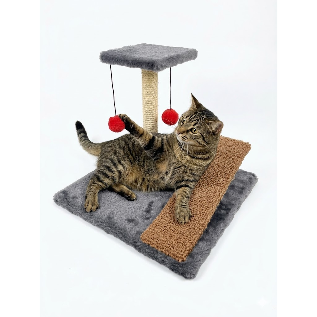 Arranhador para Gato com Rampa e Brinquedo Pompom Exclusivo