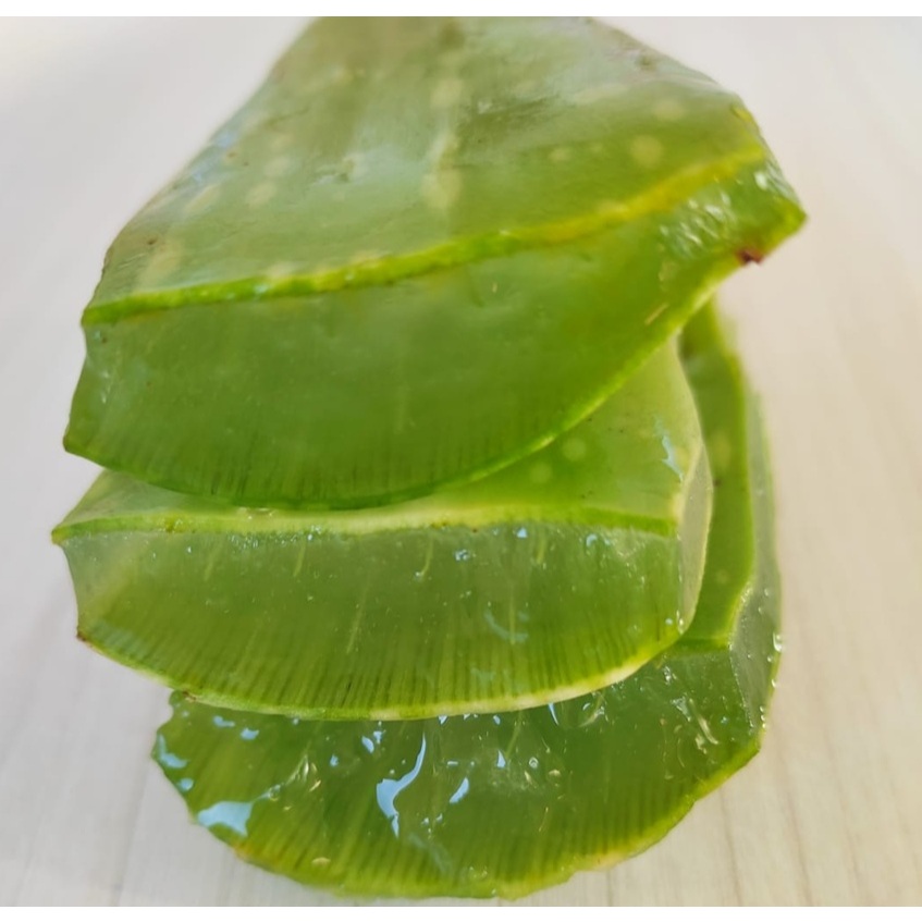 Folha  Inteira de Babosa (Barbadensis Miller)  Medicinal para Cabelo e Pele e outros - 500gr Oferta