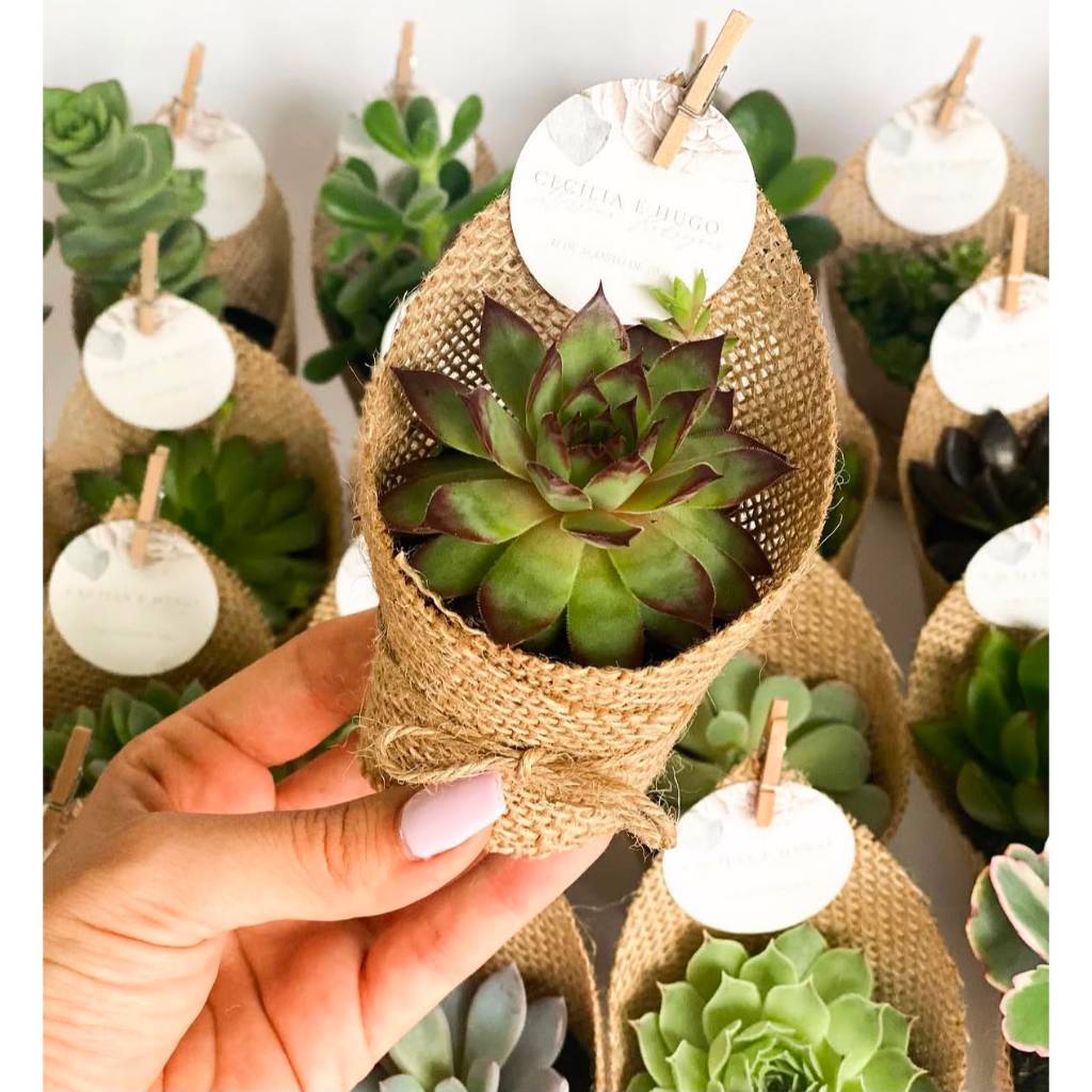 TAG personalizada para Suculentas 4x4cm  | Lembrancinhas de Casamento | Aniversário