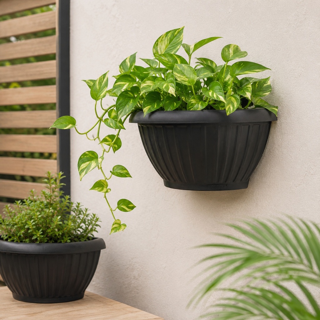 Kit 6 Vaso para Planta Grego de Parede Meia Lua 2,8 Litros Decoração Moderna para Plantas