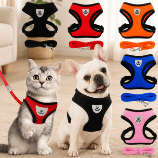 KIT até Duas Coleiras de Malha Flexível com Colete Peitoral Ajustável para Cão Cachorro G…
