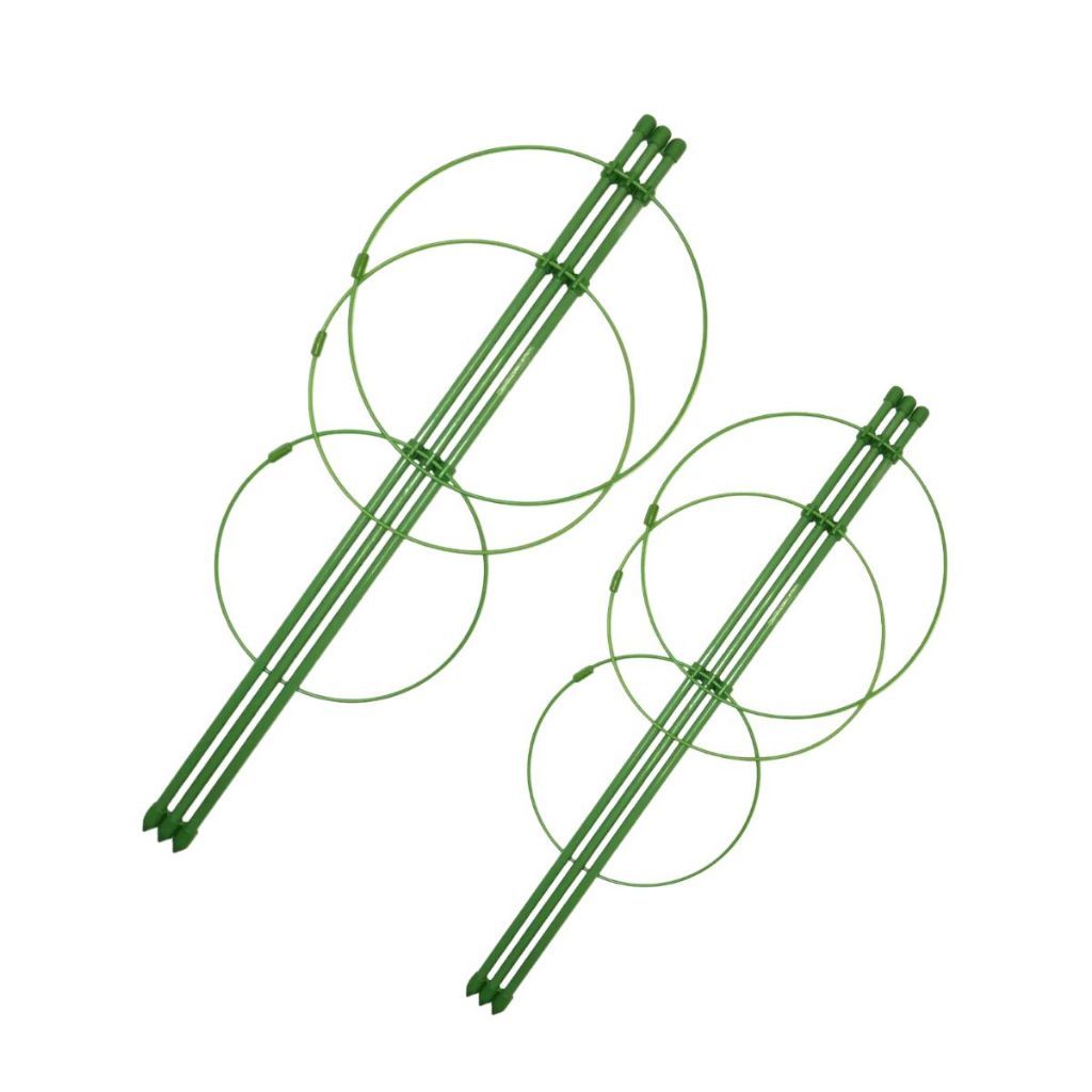 Tutor Gaiola Aço Para Plantas Trepadeiras Resistente