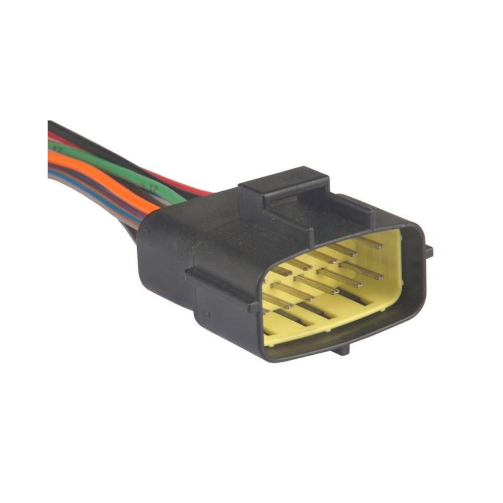 Chicote Reparo 12 Vias Macho - TC2539