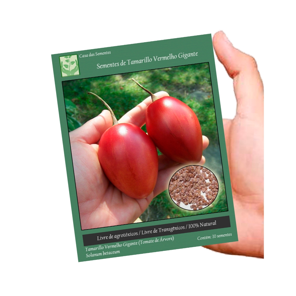 Kit Sementes de Tamarillo Tomate de Árvore para plantio de Mudas