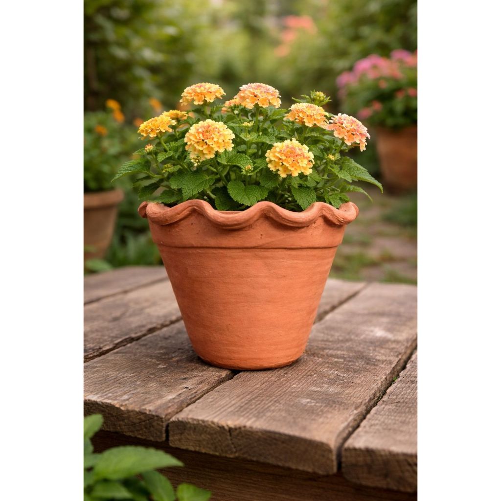 Vaso de barro /ceramica para parede com babado para suculentas
