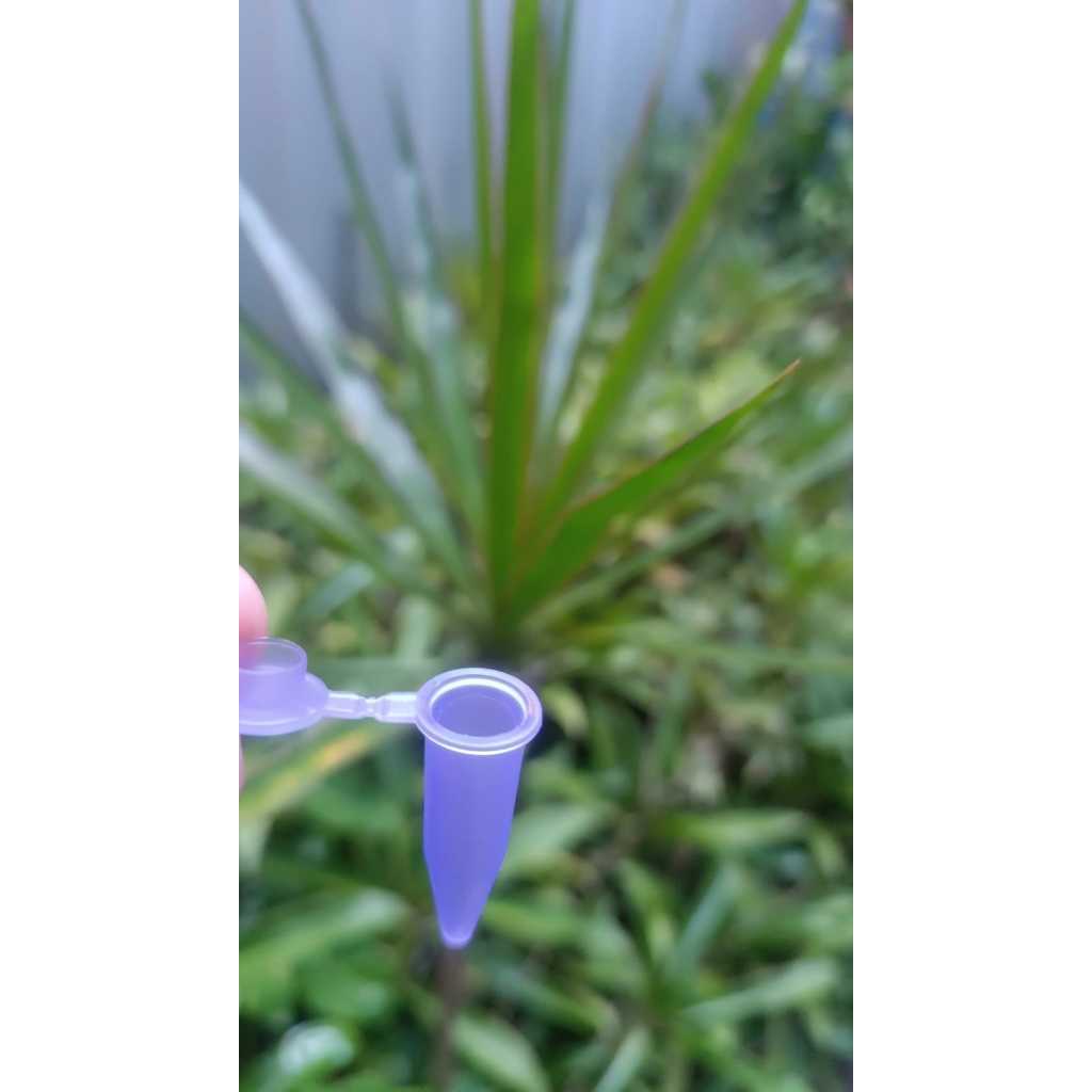 Microtubo Capsula Pino 0,9 Ml color c/1000 unid