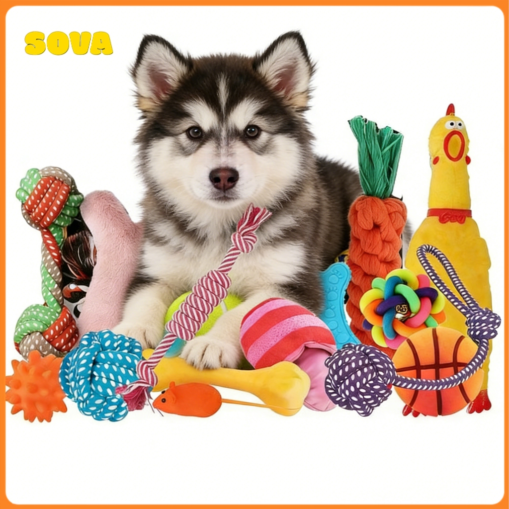 Kit 10/6 Brinquedos Mordedor Cachorro Filhote Anti Estress Pet Ranger os dentes Limpeza da boca