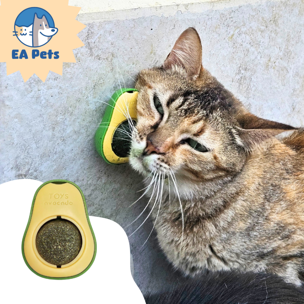Brinquedo Abacate Com Catnip Para Gatos Super Natural Estimulante Saudável Interativo Aos Felinos