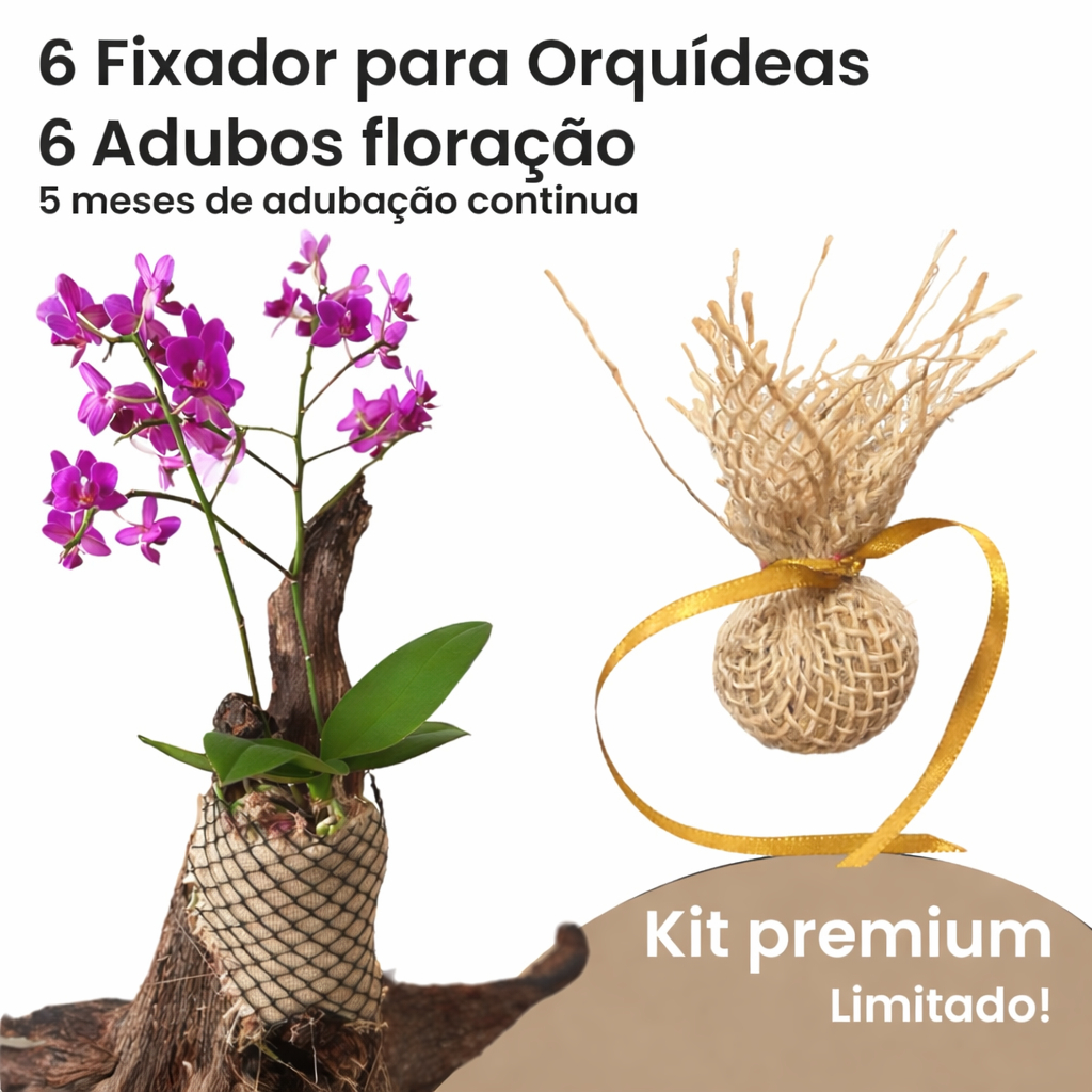 Kits  6, 12 e 24 Fixador para Orquideas e 6, 12 e 24 Adubos para floração em Oferta na Shopee
