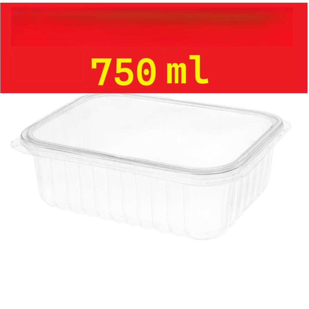 Kit 12/24/48/72/96/120/144 Pote De Embalagem Marmita Plástico Descartável Com Tampa 750ml