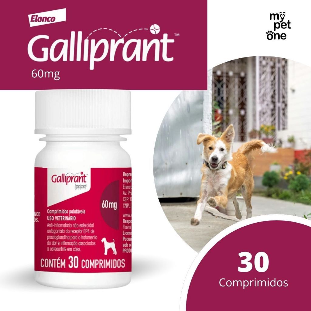 Galliprant 60 mg Elanco para Cães - 30 Comprimidos