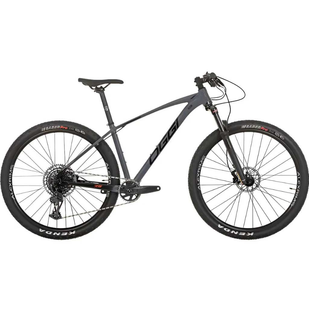 Bicicleta MTB Oggi, Big Wheel 7.5 GX Lunar XCR Cinza/Preto/Laranja