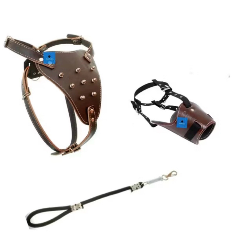 kit Peitoral Spikes Pitbull Rotweiller Pastor + Focinheira Em Couro Legítimo E Guia