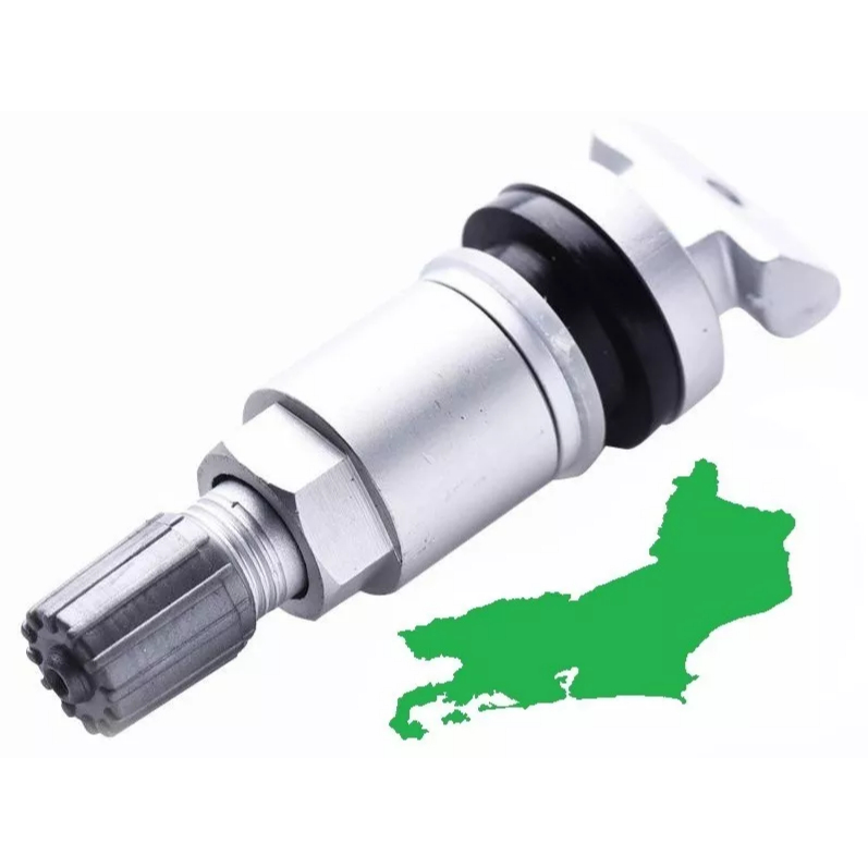 Bico do Sensor de Pneu Hyundai Elantra Kona Azera Válvula Bico Pito