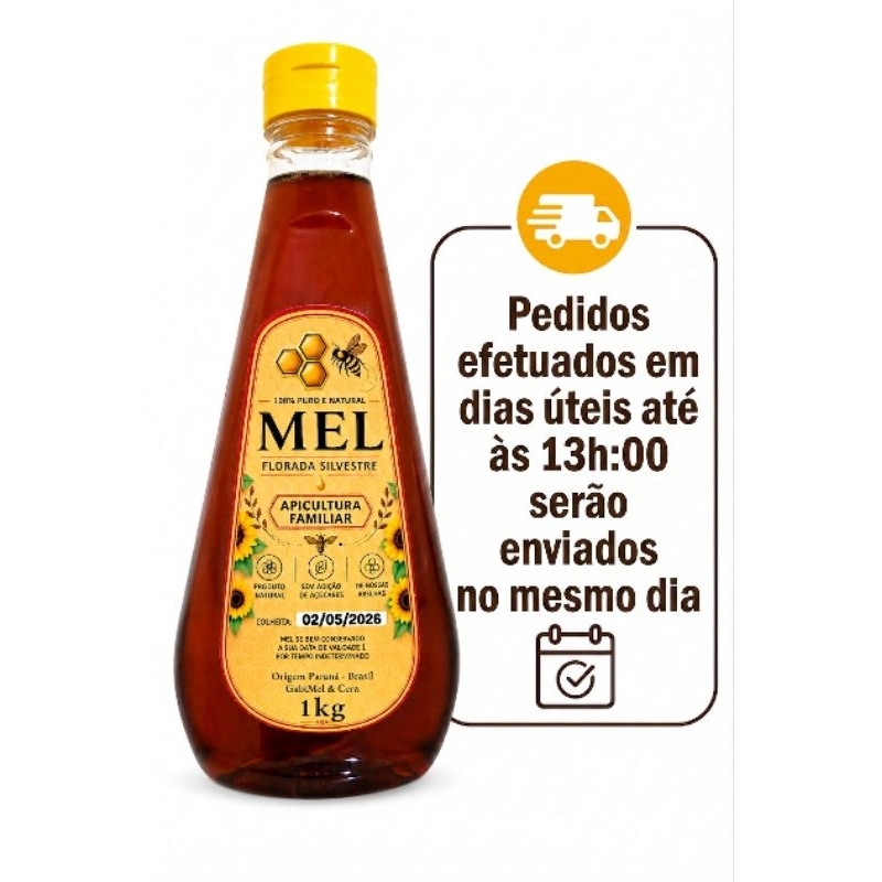 Mel de abelha florada silvestre 1kg Direto do Pequeno Produtor Rural — imagem 2 de 2