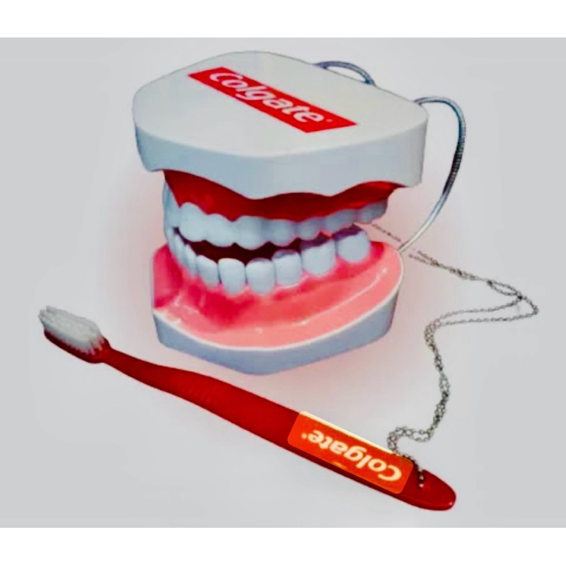 Macromodelo de Boca Colgate – Modelo Demonstrativo de Higiene Bucal