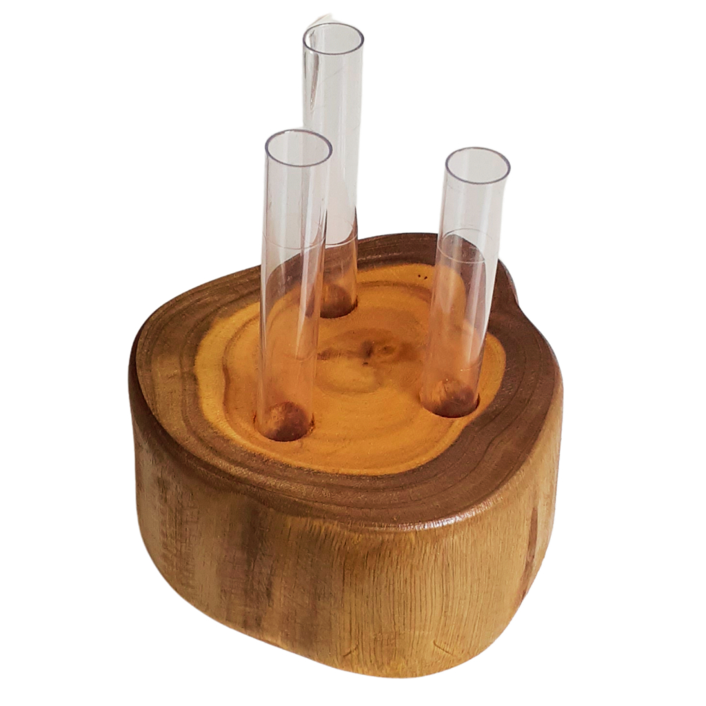 Suporte para Planta feito com Bolacha Tronco Madeira de Eucalipto Tratado Decoração