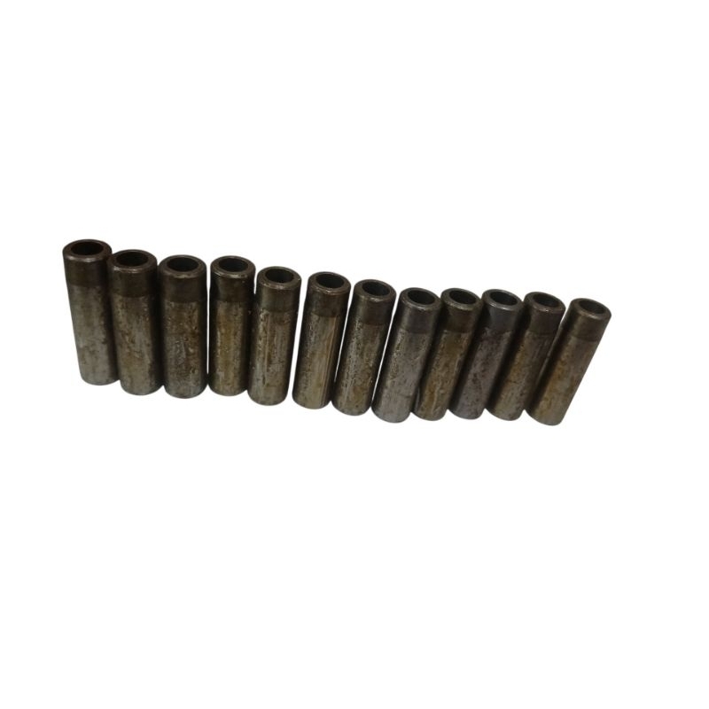 Kit 12 Guias Válvula Clio 1.6 8V C3L STD Original Riosulense 11614031