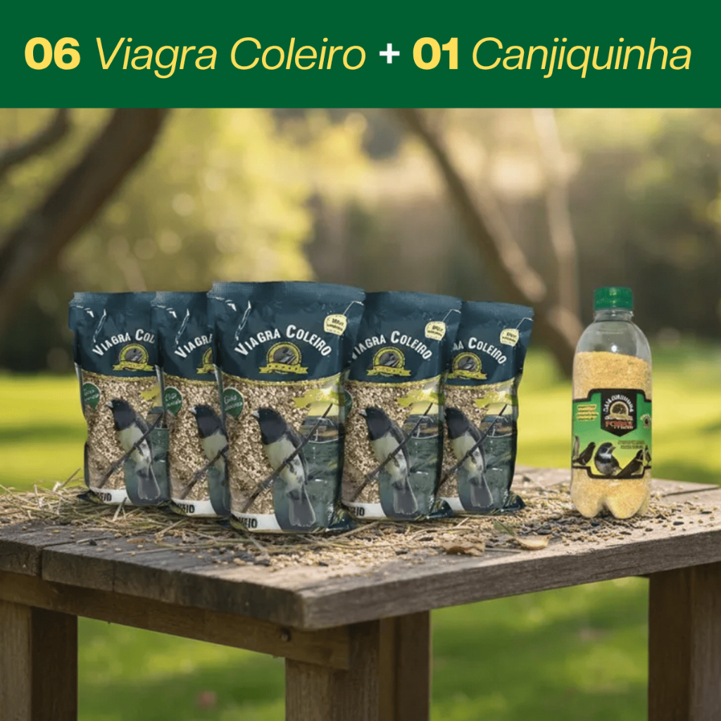 Kit 6 Viagra Coleiro + 1 Canjiquinha Power Ração Pássaros Curió Trinca Ferro Canário Cardeal Estimulante Premium Coleiro