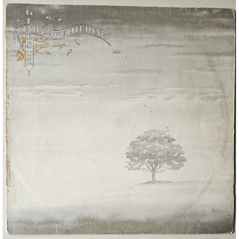 Vinil LP Genesis Wind